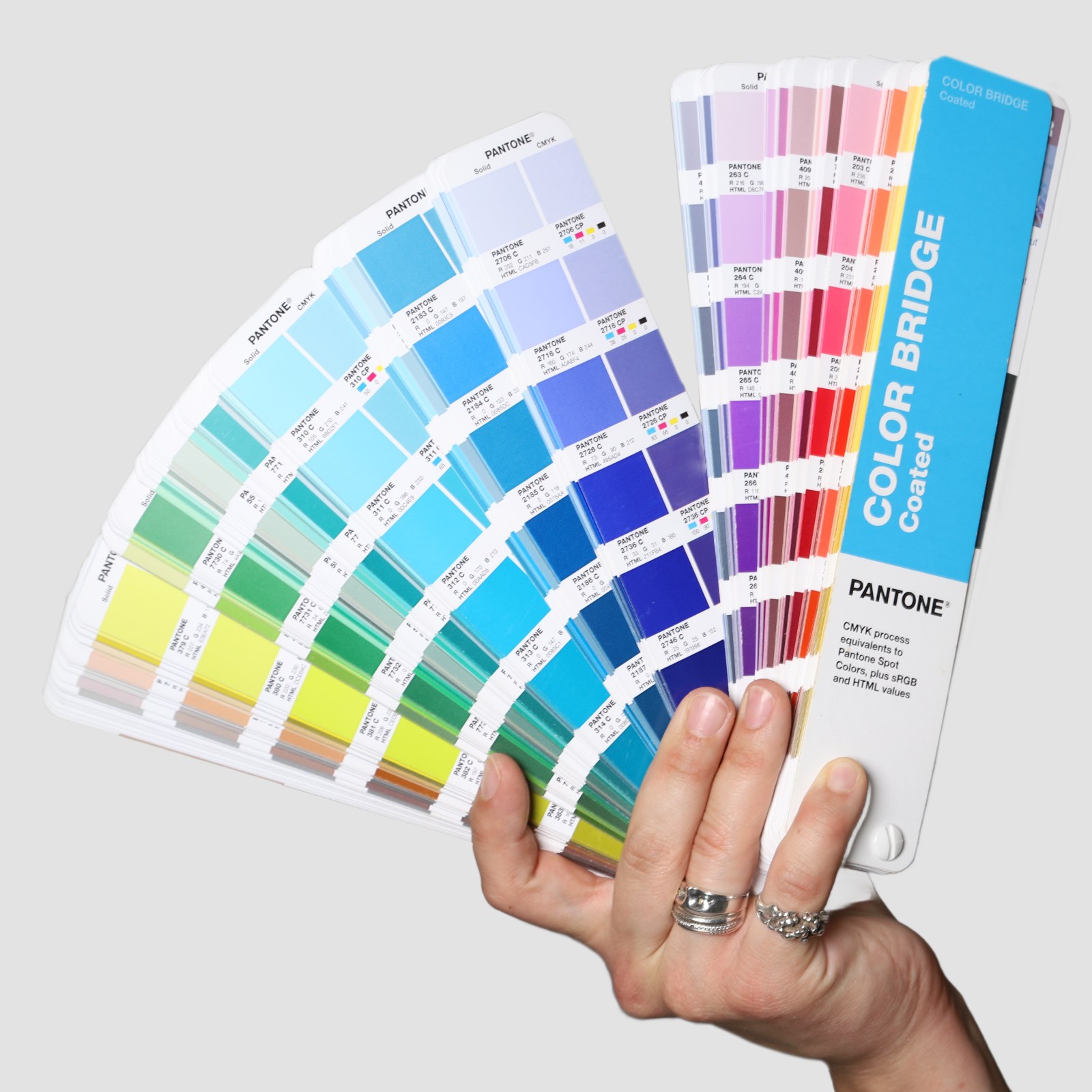 Brand Identity